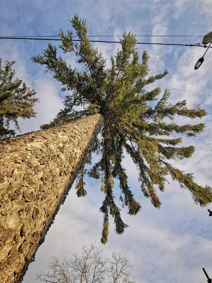 فيلا Jugul Taranului Agropensiune Polovragi, Gorj المظهر الخارجي الصورة